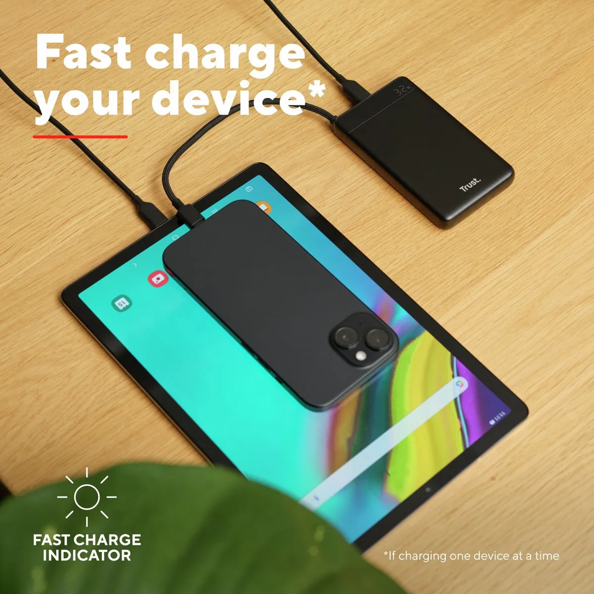 Trust Fiera Powerbank 10000mAh 20W - 2x USB-C - Zwart - afbeelding 6 van 6