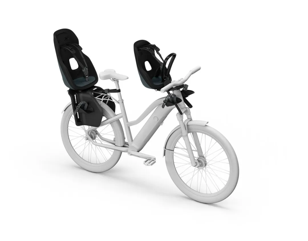 Thule Yepp Nexxt 2 Maxi Fietsstoeltje - Dark slate