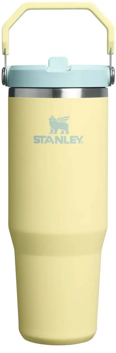 Stanley The IceFlow Flip Straw Tumbler 2.0