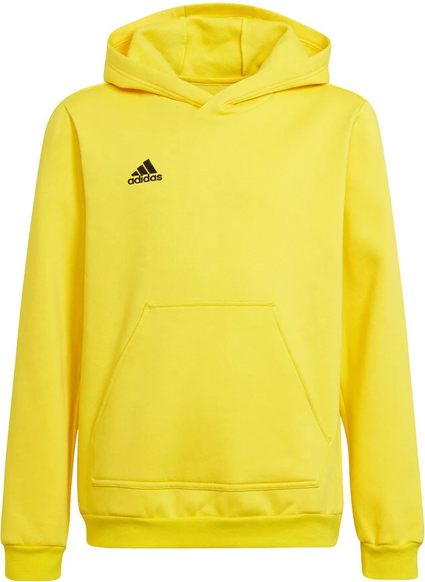 Adidas Entrada 22 Hoodie