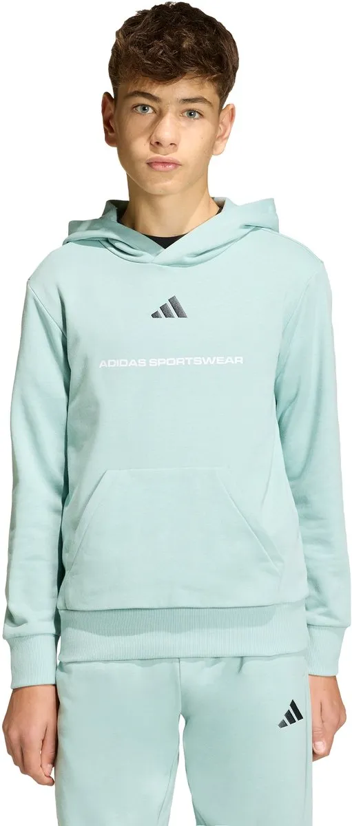adidas Slogan Fleece Hoodie KG7387