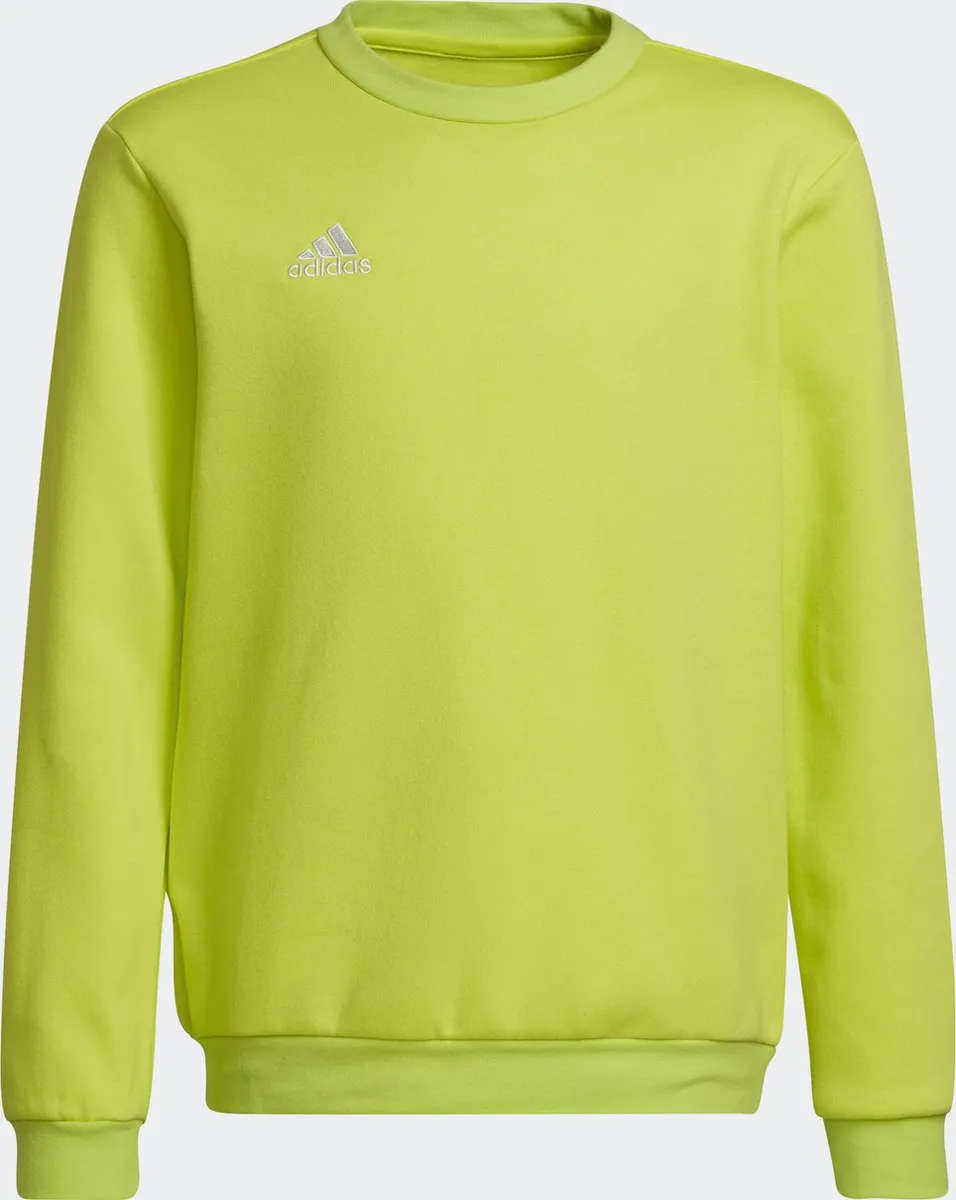 Adidas Performance Entrada 22 Sweatshirt