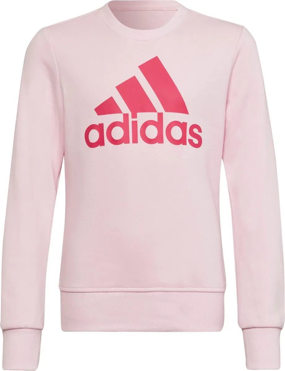 adidas Essentials Meisjes Sweatshirt HM8709