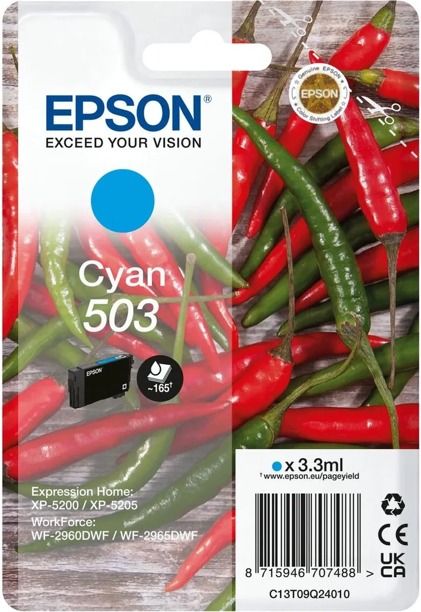 Epson C13T09Q24020 Inktcartridge Zwart - 550 pagina's