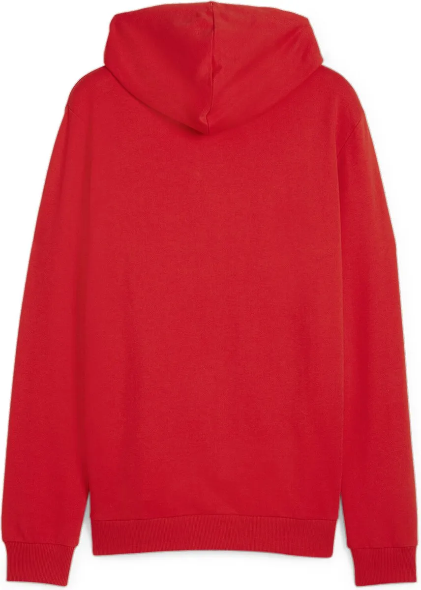 PUMA TeamGOAL Heren Sweatshirt met Capuchon - Rood