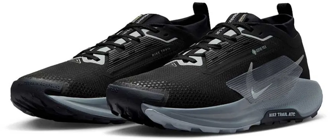 Nike Pegasus Trail 5 GORE-TEX