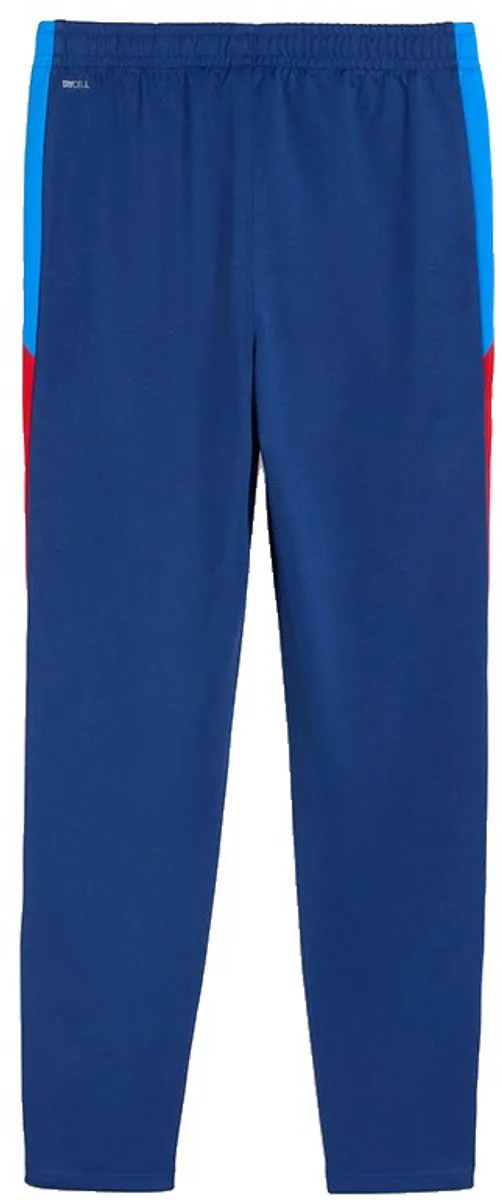 PUMA Neymar Jr Playmaker Trainingsbroek M - Blazing Blue