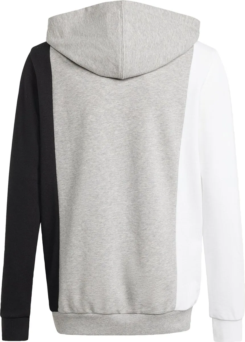 adidas Essentials Colorblock Hoodie Kids 152 - Grijs