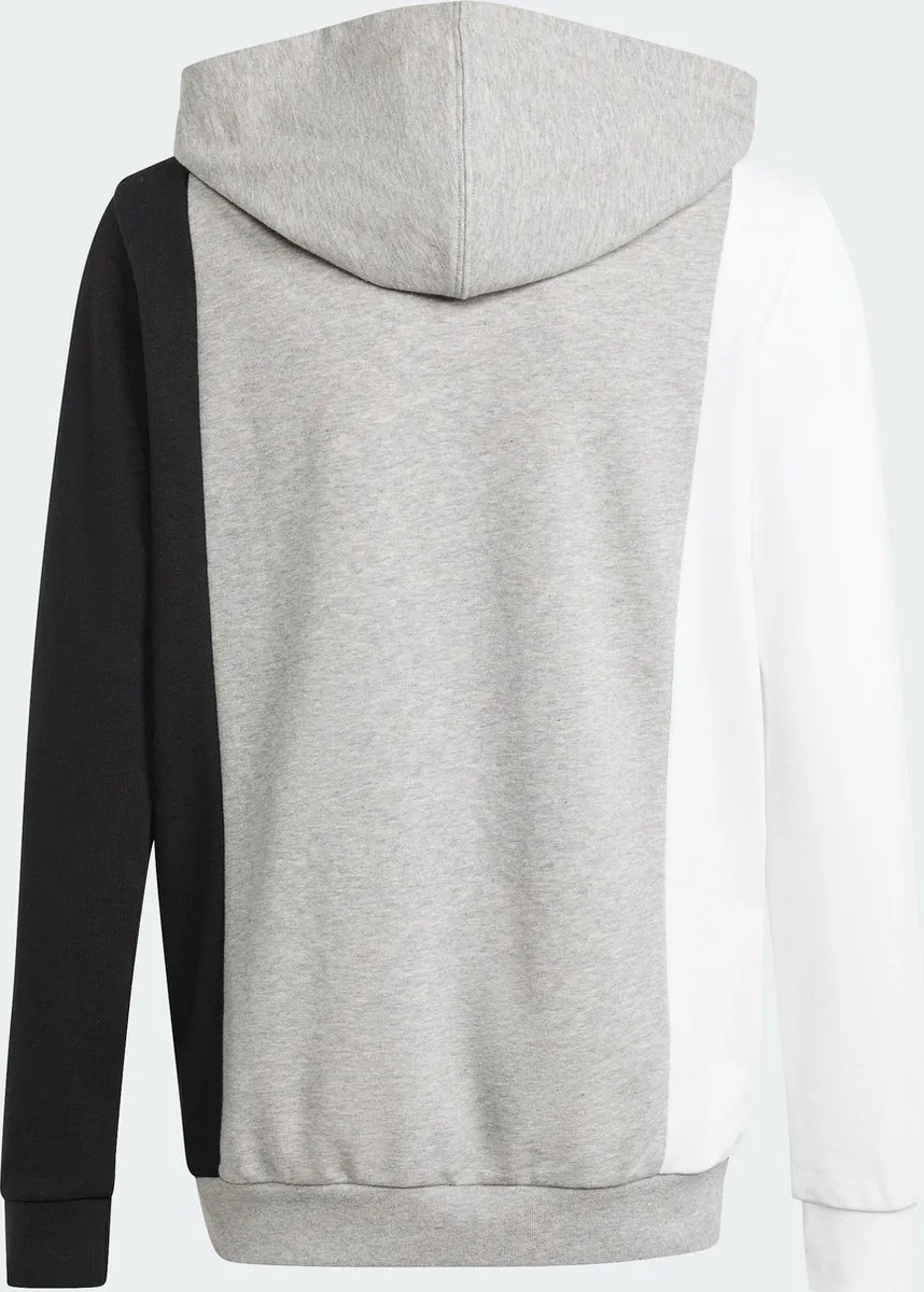 adidas Essentials Colorblock Hoodie Kids 152