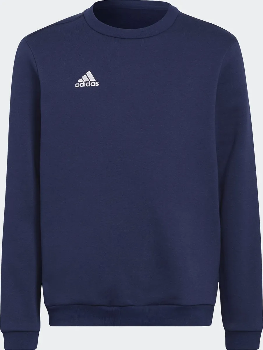 adidas Performance Entrada 22 Sweatshirt 140 - Blauw