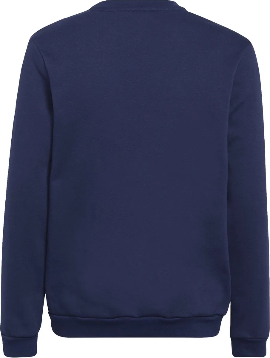 adidas Performance Entrada 22 Sweatshirt 140 - Blauw