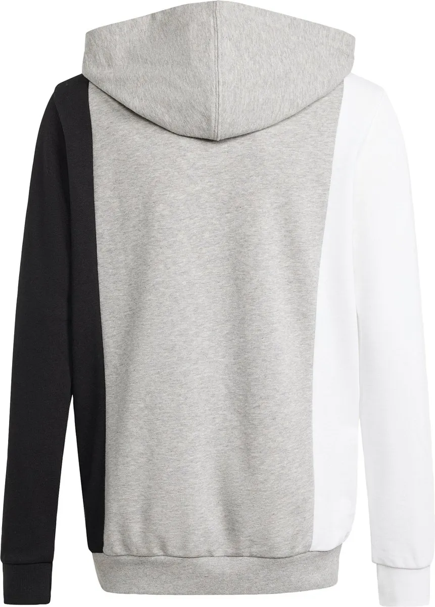 adidas Essentials Colorblock Hoodie Kids 164 - Grijs