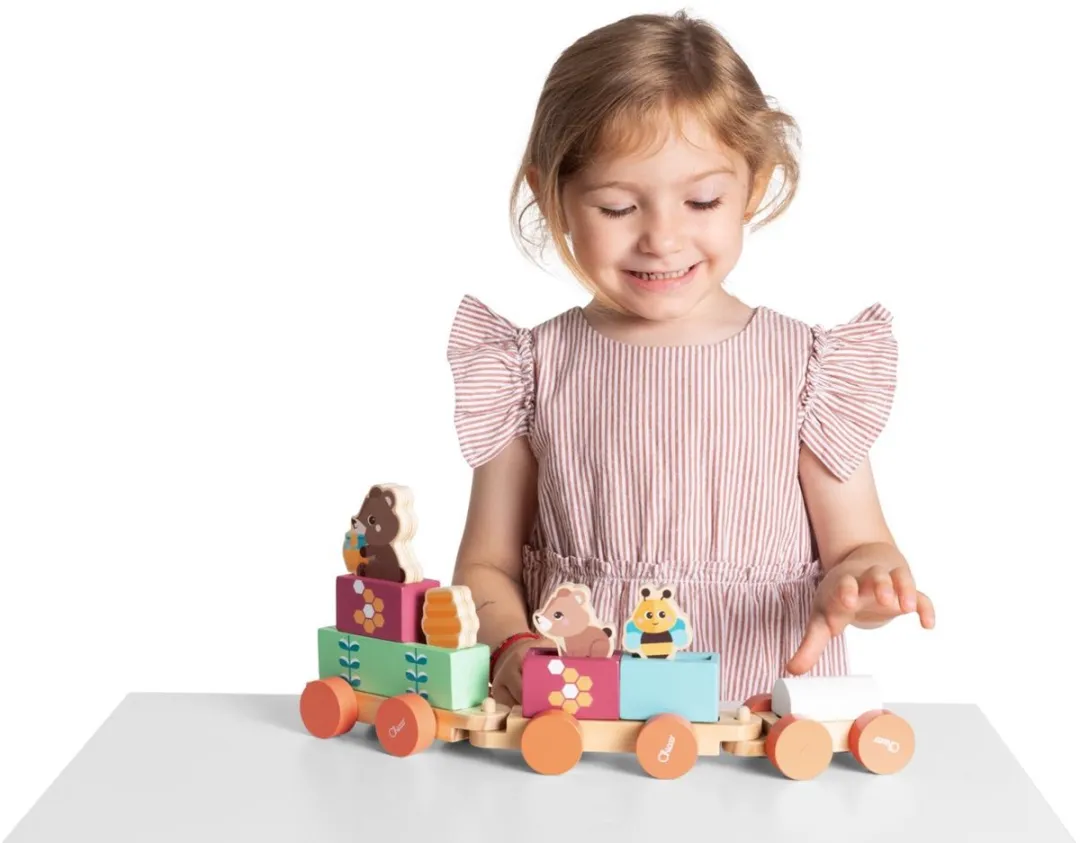 Chicco My Wooden Friends Houten Treinset Multi