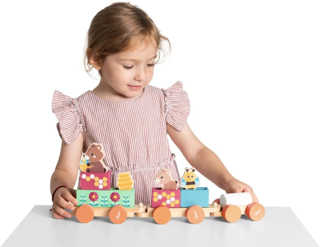 Chicco My Wooden Friends Houten Treinset Multi