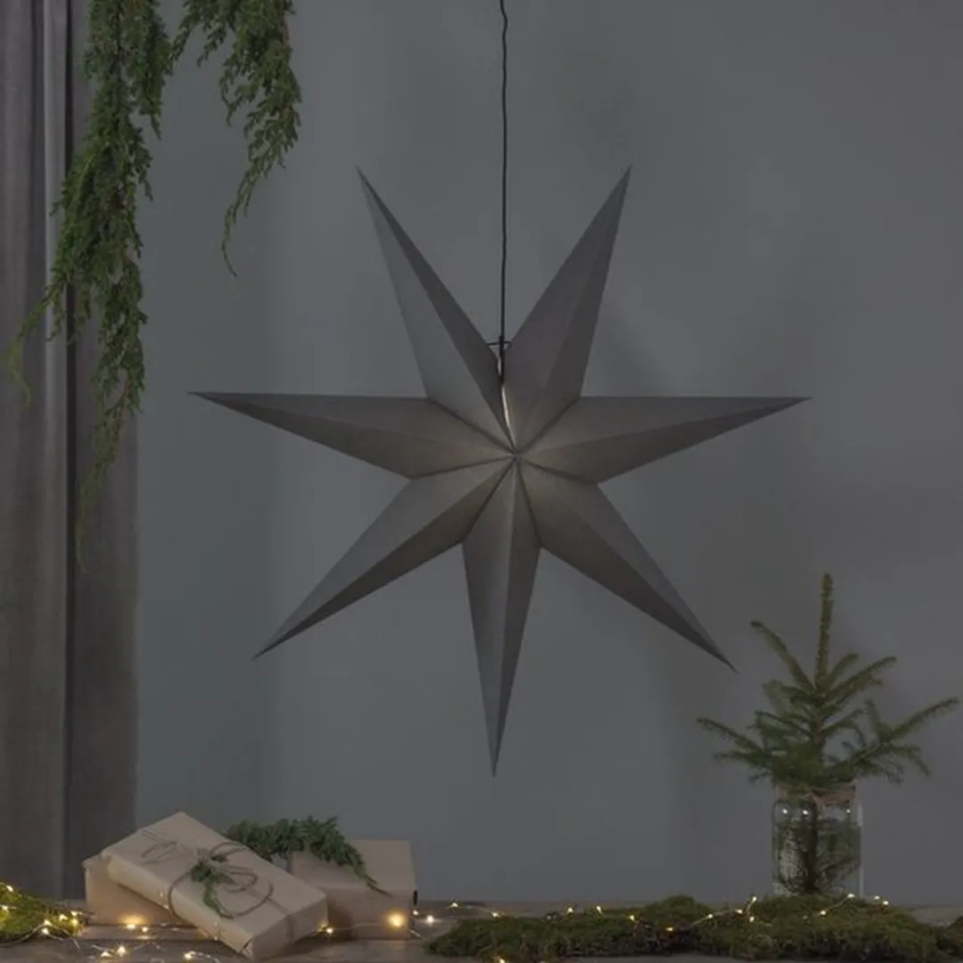 Star Trading Poinsettia Ozen 3D Kerstster - Ø100cm - Zilver