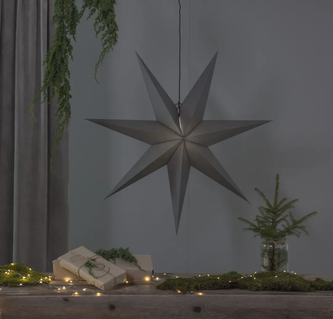 Star Trading Poinsettia Ozen 3D Kerstster - Ø100cm - Zilver