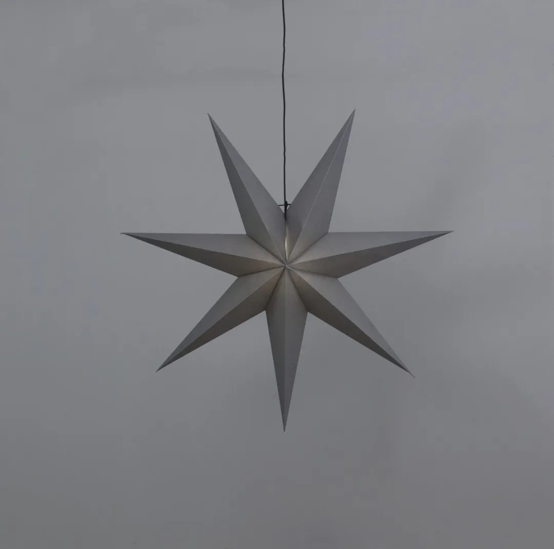 Star Trading Poinsettia Ozen 3D Kerstster - Ø100cm - Zilver
