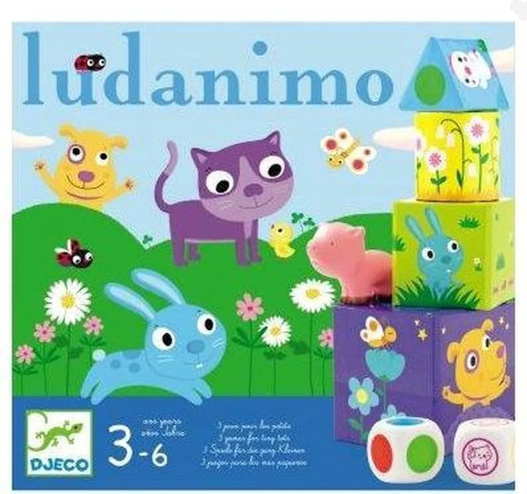 Djeco Ludanimo Spel - 23 Stuks - Multicolor - afbeelding 5 van 6
