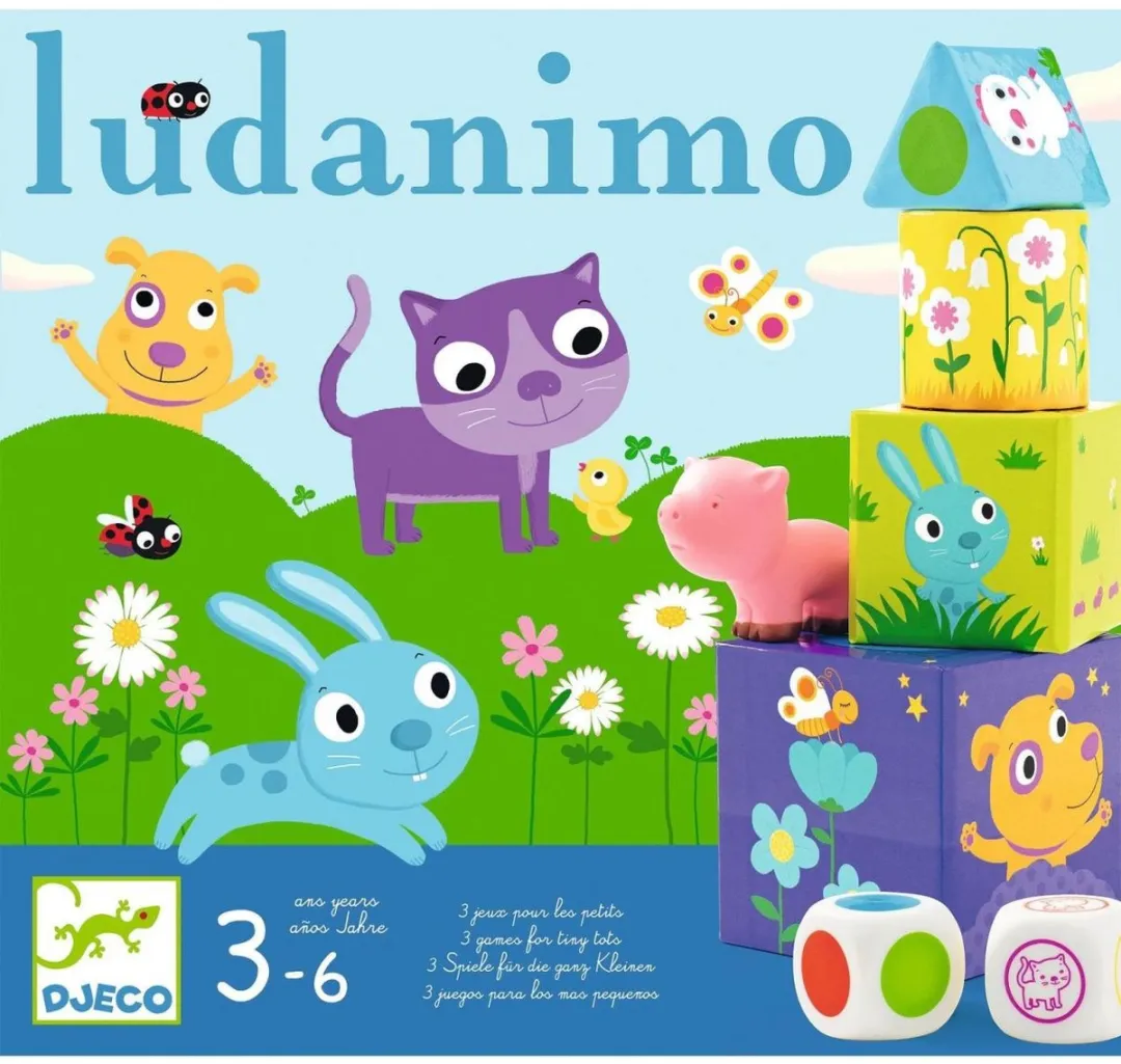 Djeco Ludanimo Spel - 23 Stuks - Multicolor - afbeelding 2 van 6
