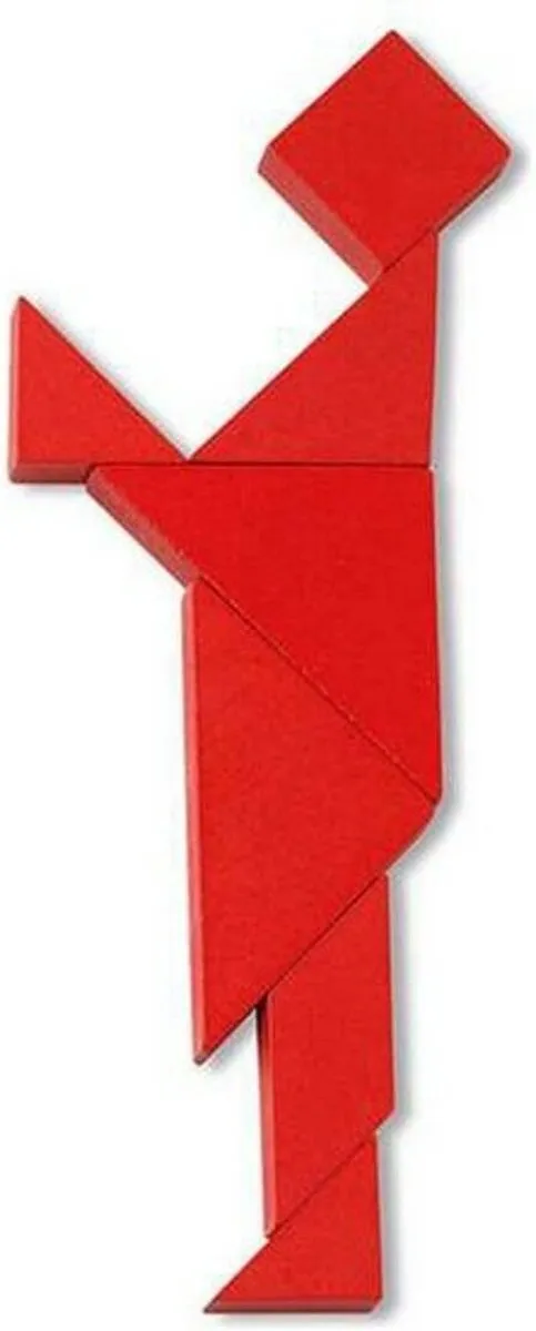 Geronimo Games Cayro Houten Tangram Spel - 1-4 Spelers