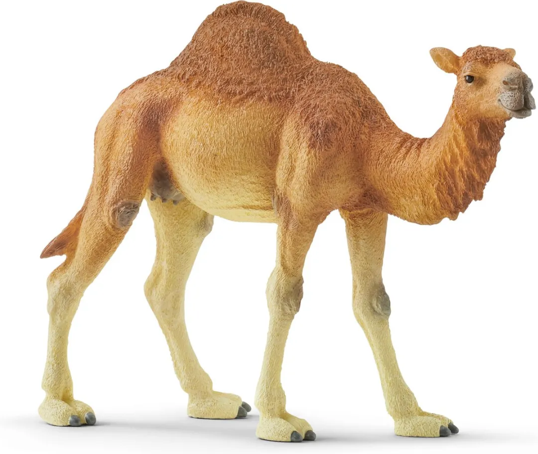 Schleich Dromedaris Speelfiguur 14832 - Bruin