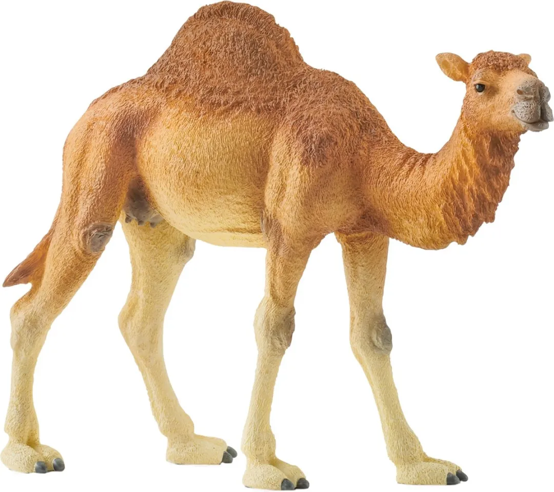 Schleich Dromedaris Speelfiguur 14832 - Bruin