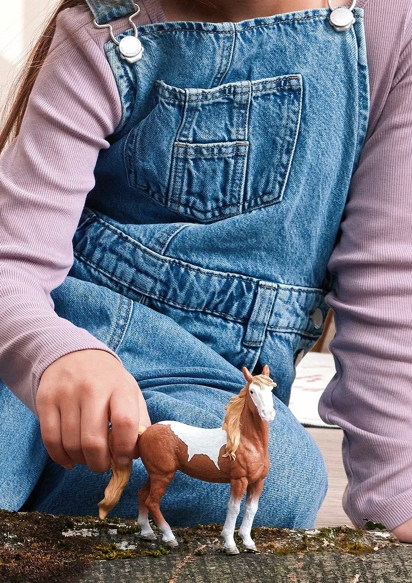 Schleich Horse Club Mustang 14920 - Meerkleurig