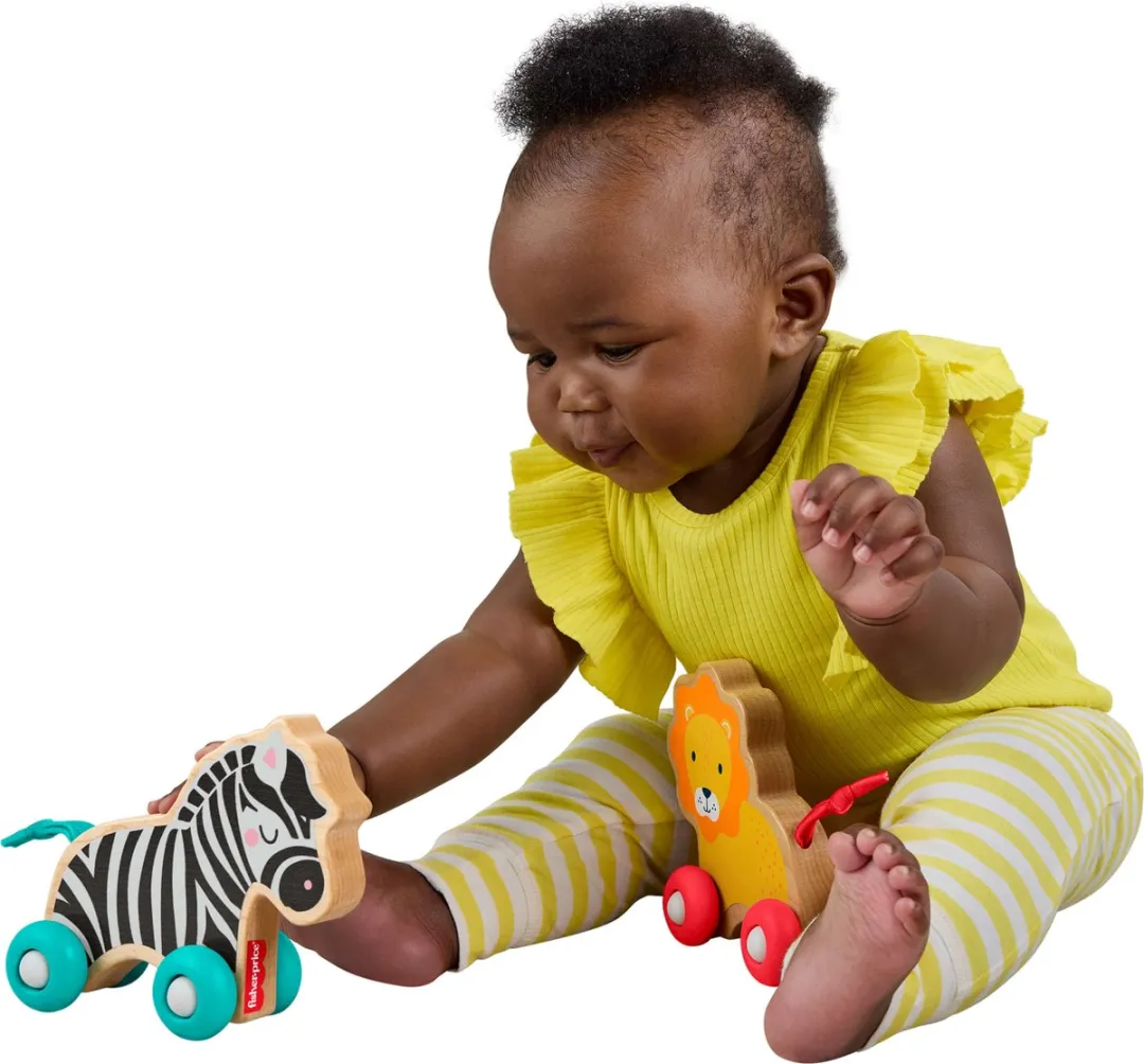 Fisher Price Houten Duwdierenbotten JFN19 - Meerkleurig - afbeelding 6 van 6