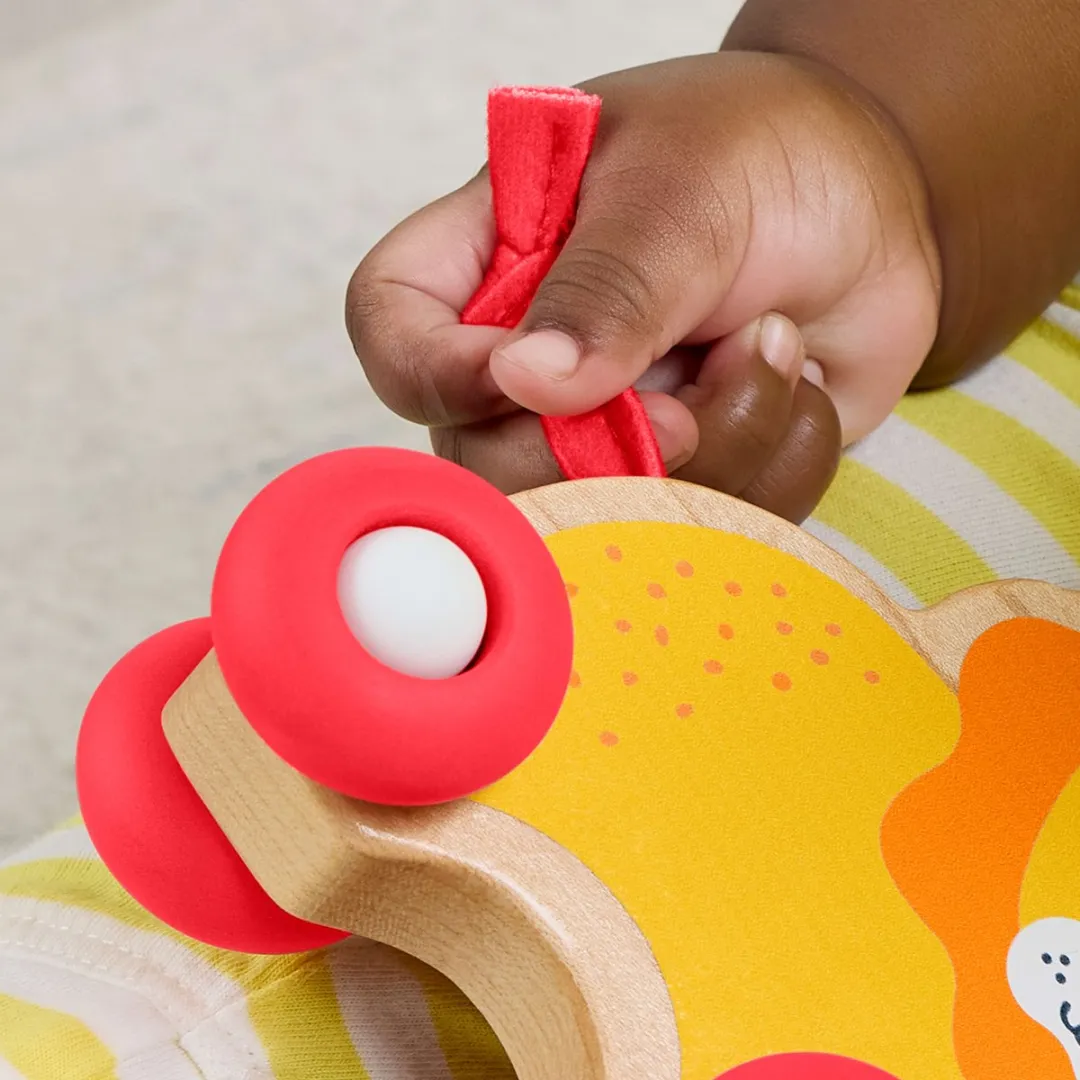 Fisher Price Houten Duwdierenbotten JFN19 - Meerkleurig - afbeelding 2 van 6