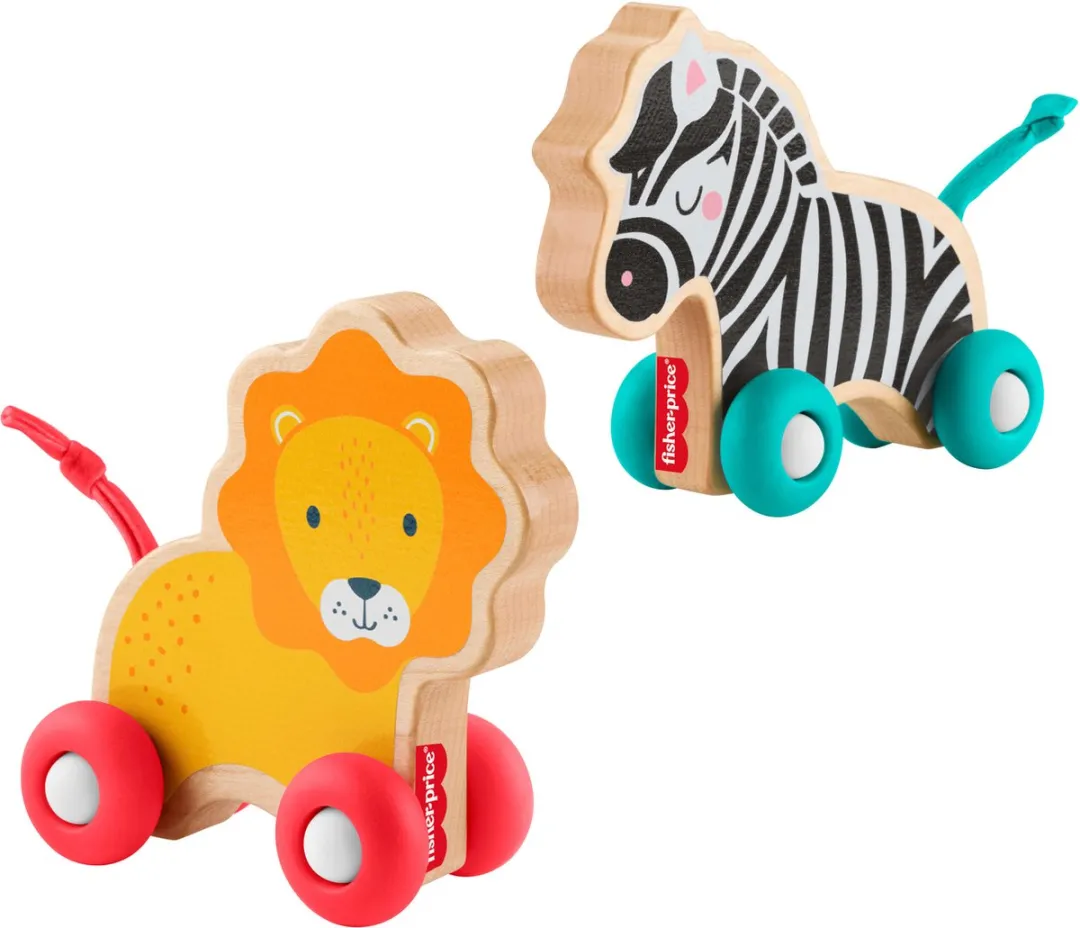 Fisher Price Houten Duwdierenbotten JFN19