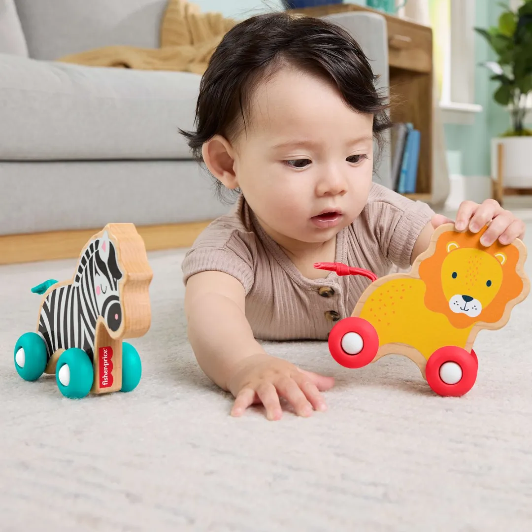 Fisher Price Houten Duwdierenbotten JFN19 - Meerkleurig - afbeelding 5 van 6