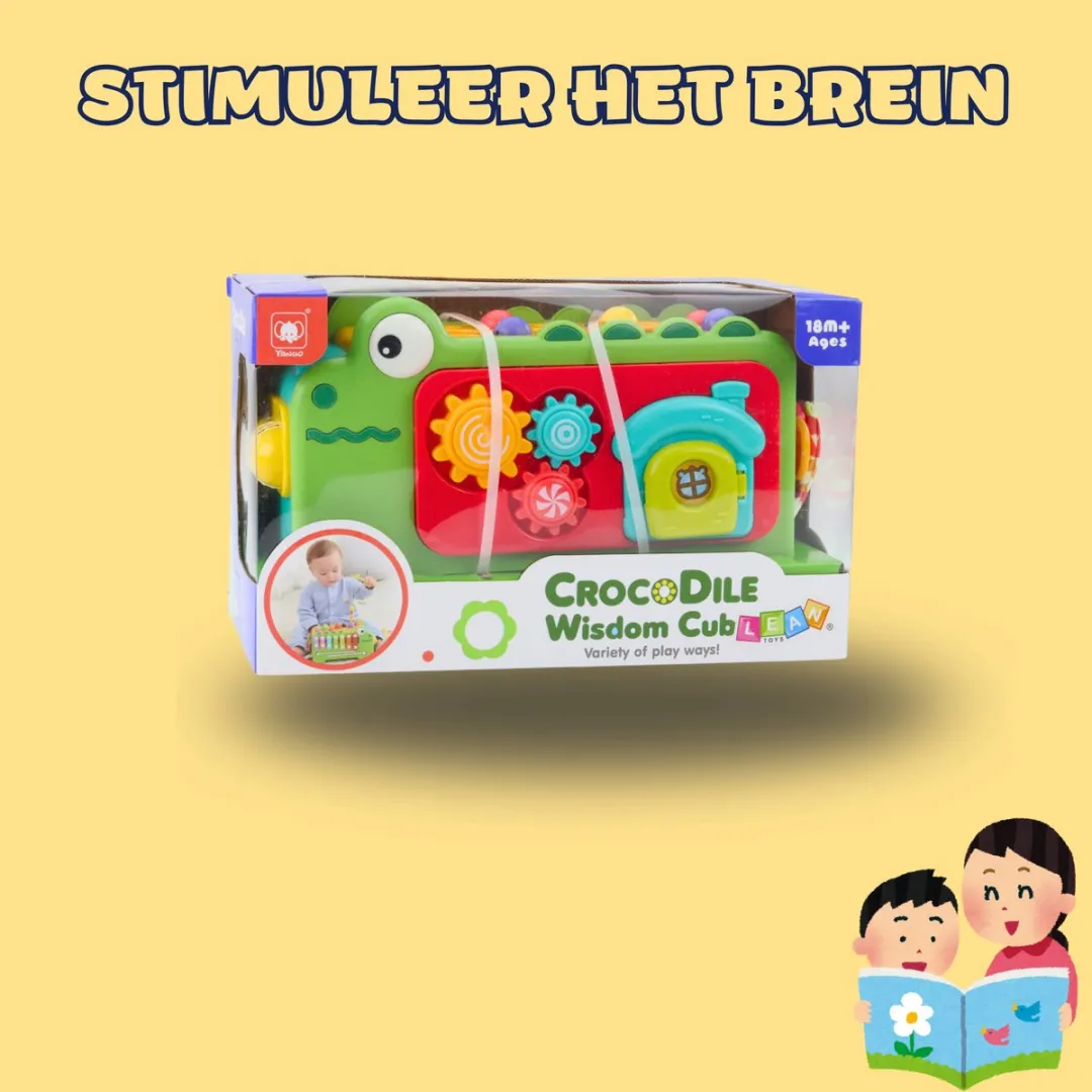 Lean Toys EduPlay Crocodile Sensorische Kubus - Muzikaal Doolhof & Magnetisch Hengelspel - 1-3 Jaar