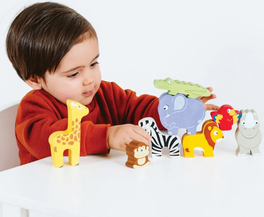 Le Toy Van Africa Stacker Tower & Bag - Veelkleurig