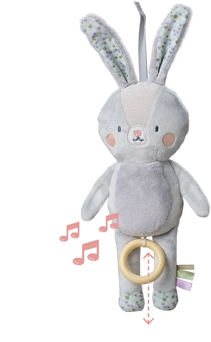 Taf Toys Rylee Musical Bunny Muziekknuffel - Multicolor
