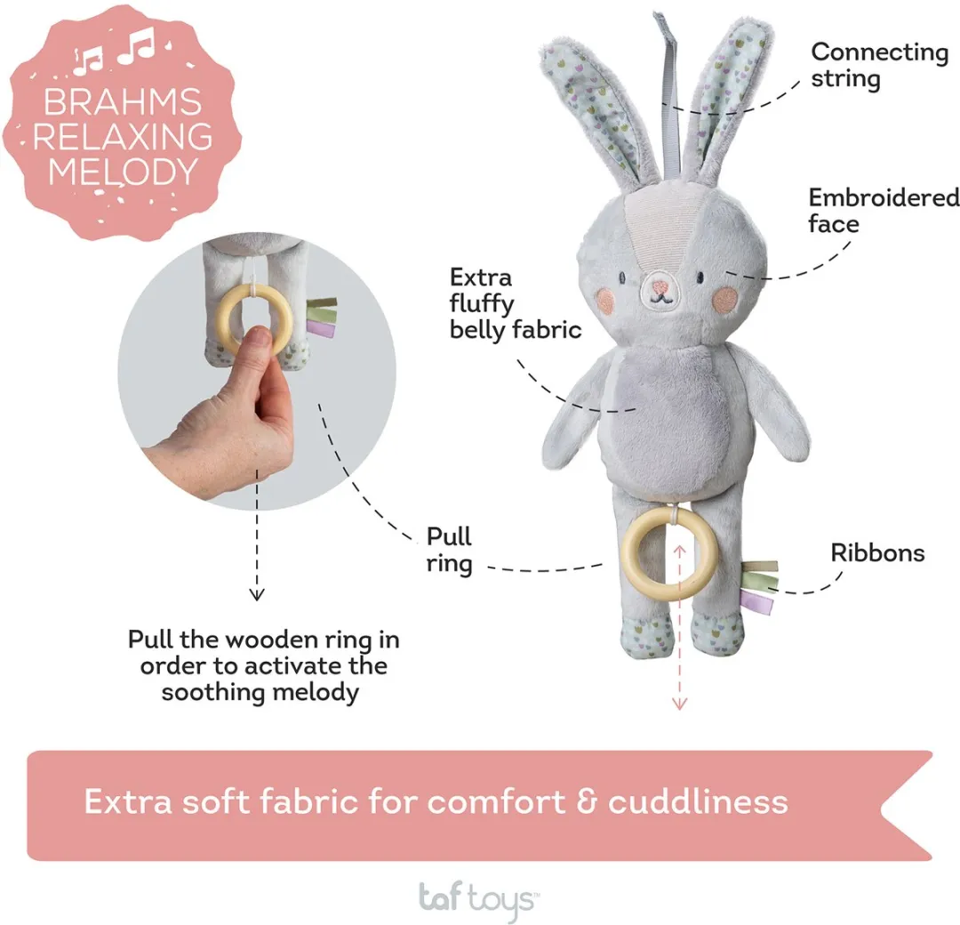 Taf Toys Rylee Musical Bunny Muziekknuffel - Multicolor