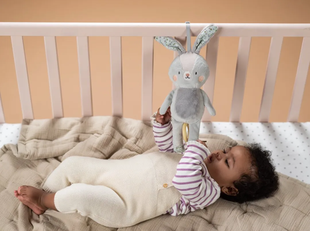 Taf Toys Rylee Musical Bunny Muziekknuffel - Multicolor
