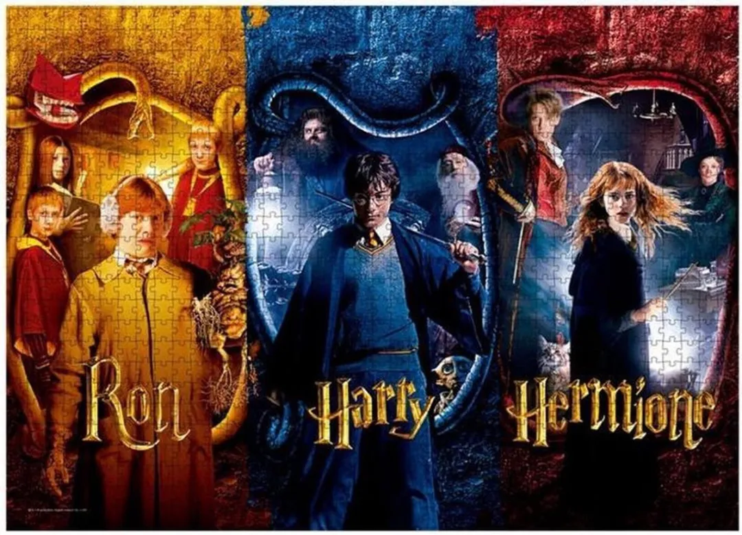 Harry Potter Ron, Harry & Hermione Puzzel 50 Stuks