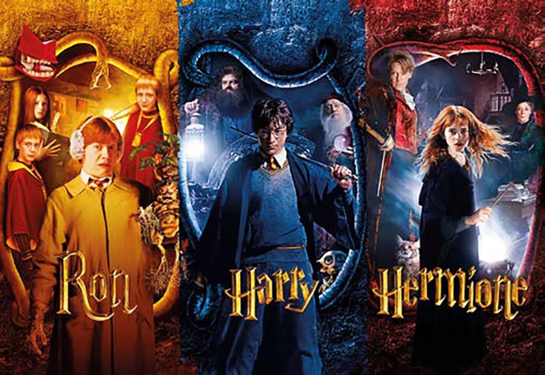 Harry Potter Ron, Harry & Hermione Puzzel 50 Stuks - 70x50cm