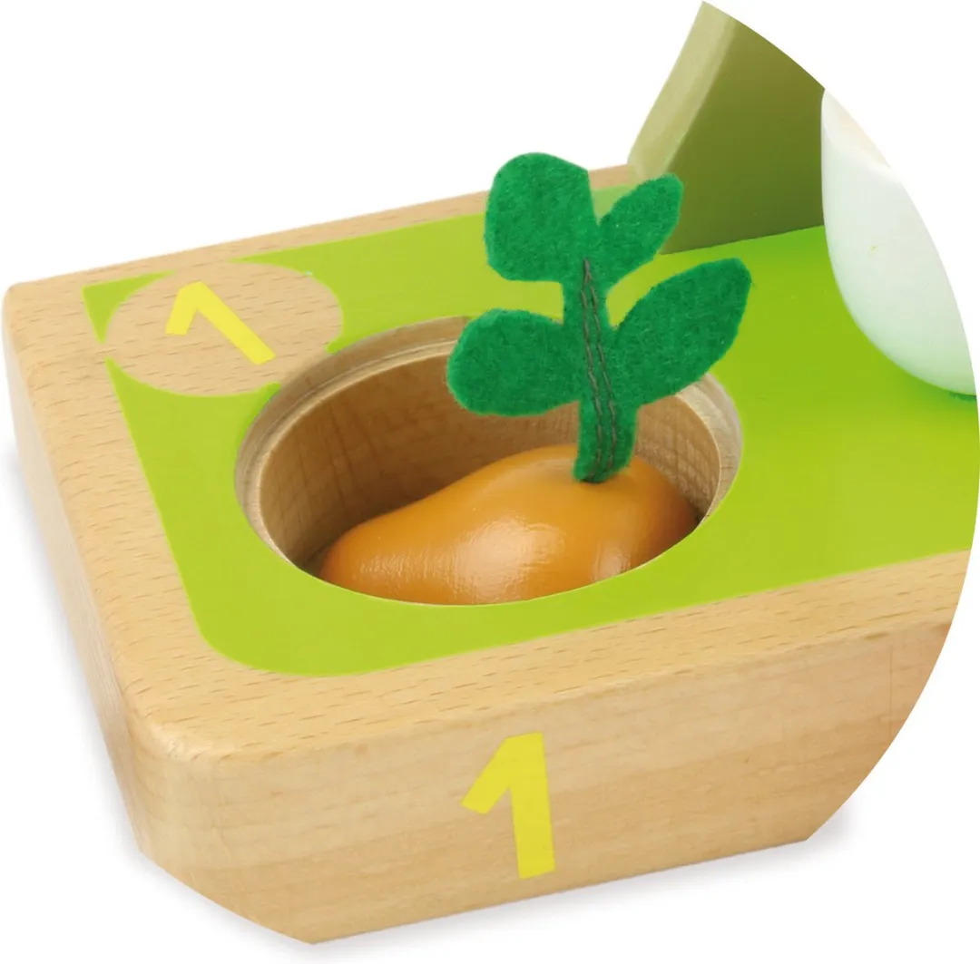 Vilac Houten Groente & Fruit Telspel - Meerkleurig