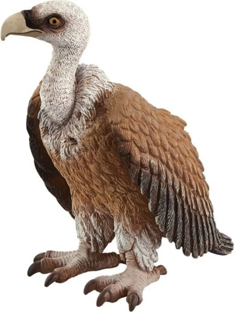 Schleich WILD LIFE Gier Speelfiguur 14847 - Bruin