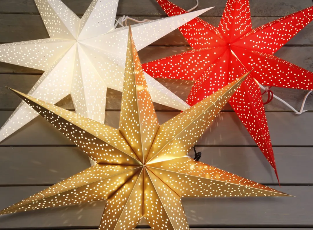 Star Trading Dot Papieren Ster - Ø 70cm - Zilver
