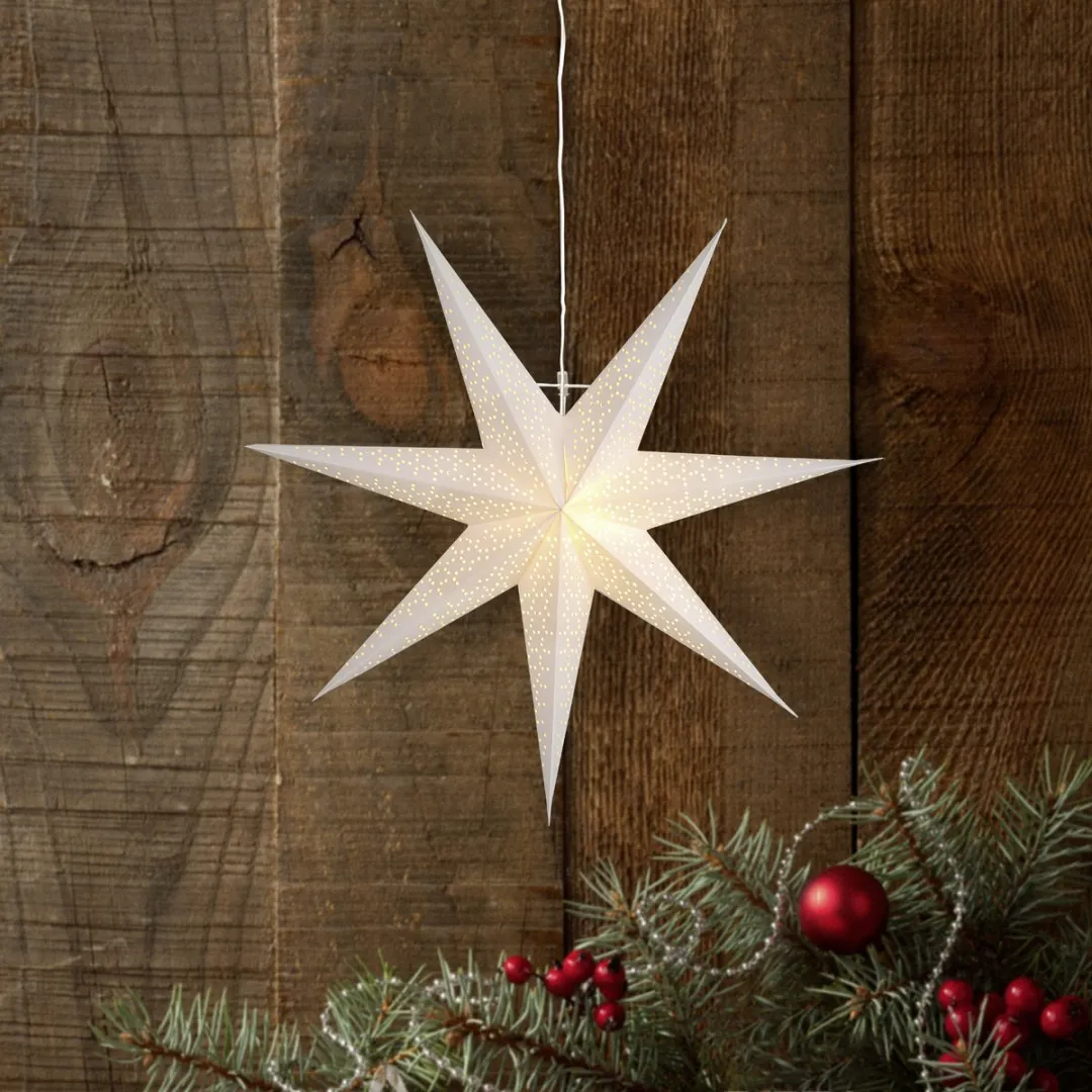 Star Trading Dot Papieren Ster - Ø 70cm - Zilver