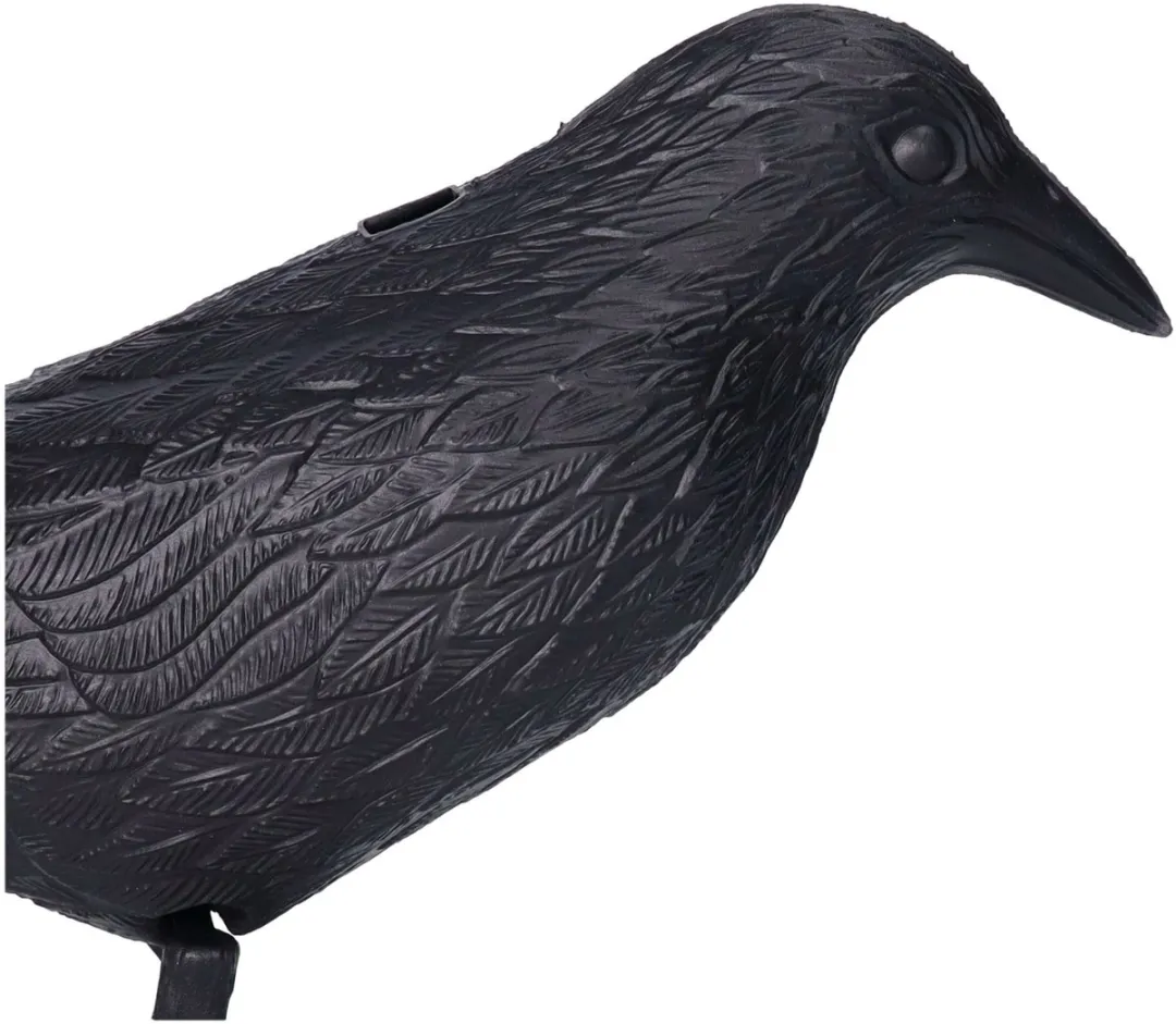 Bellatio Design Raaf Horror Decoratie - 35cm - Zwart