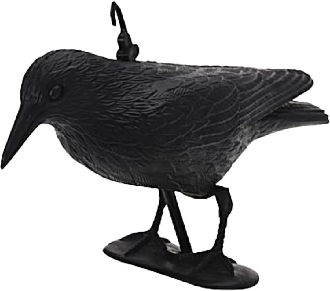 Bellatio Design Raaf Horror Decoratie