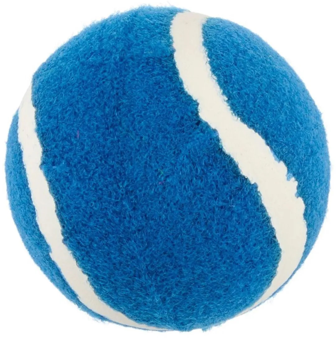 Eddy Toys Klittenband Vangspel - 2 Vangers & Tennisbal - Blauw
