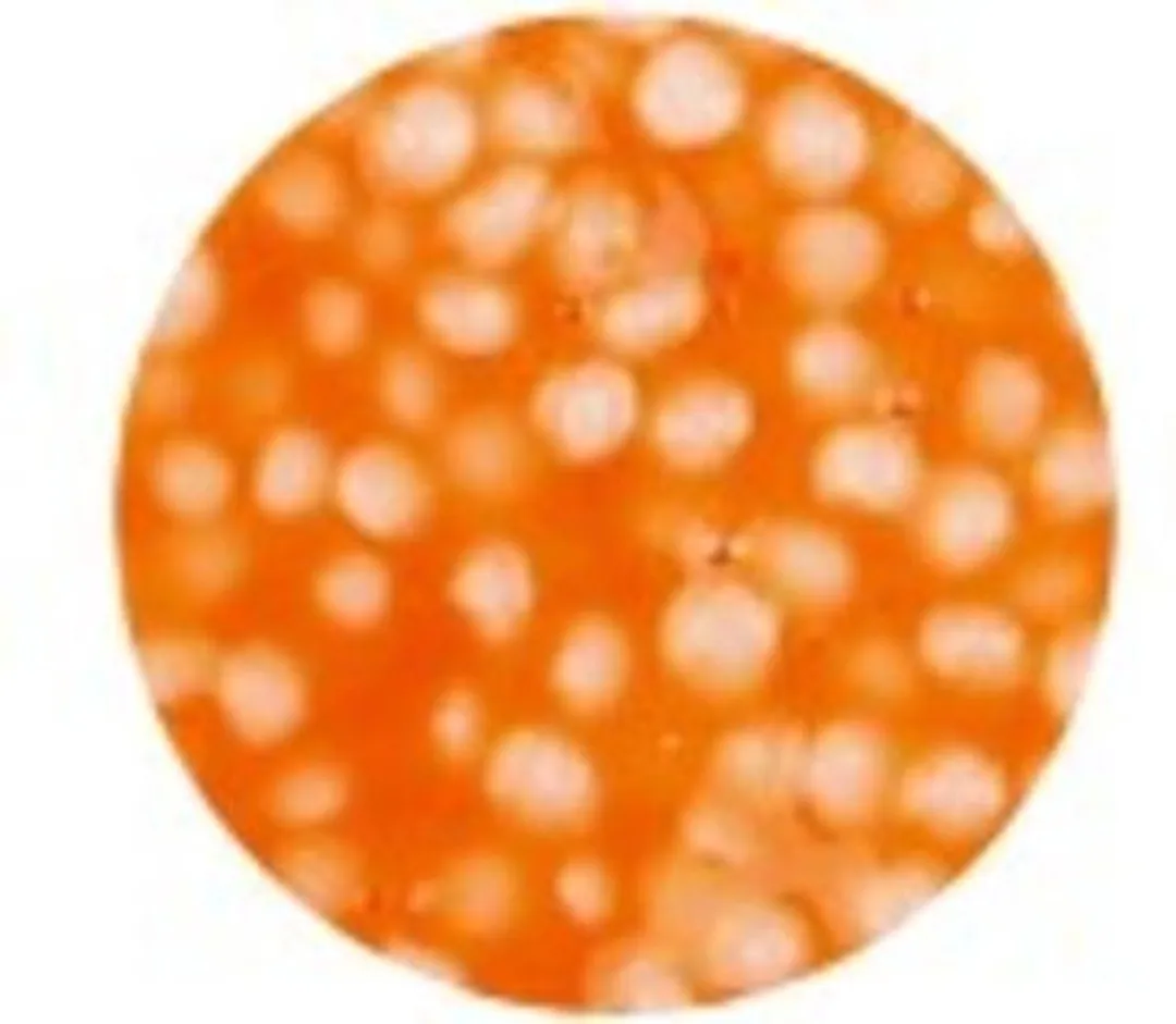 Foam Clay Neon Oranje - 560 Stuks