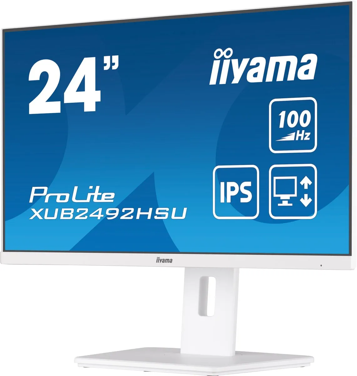 iiyama ProLite XUB2492HSU-W6 Monitor 24