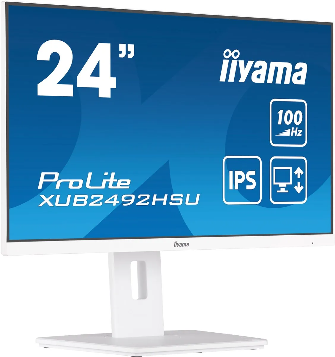 iiyama ProLite XUB2492HSU-W6 Monitor 24