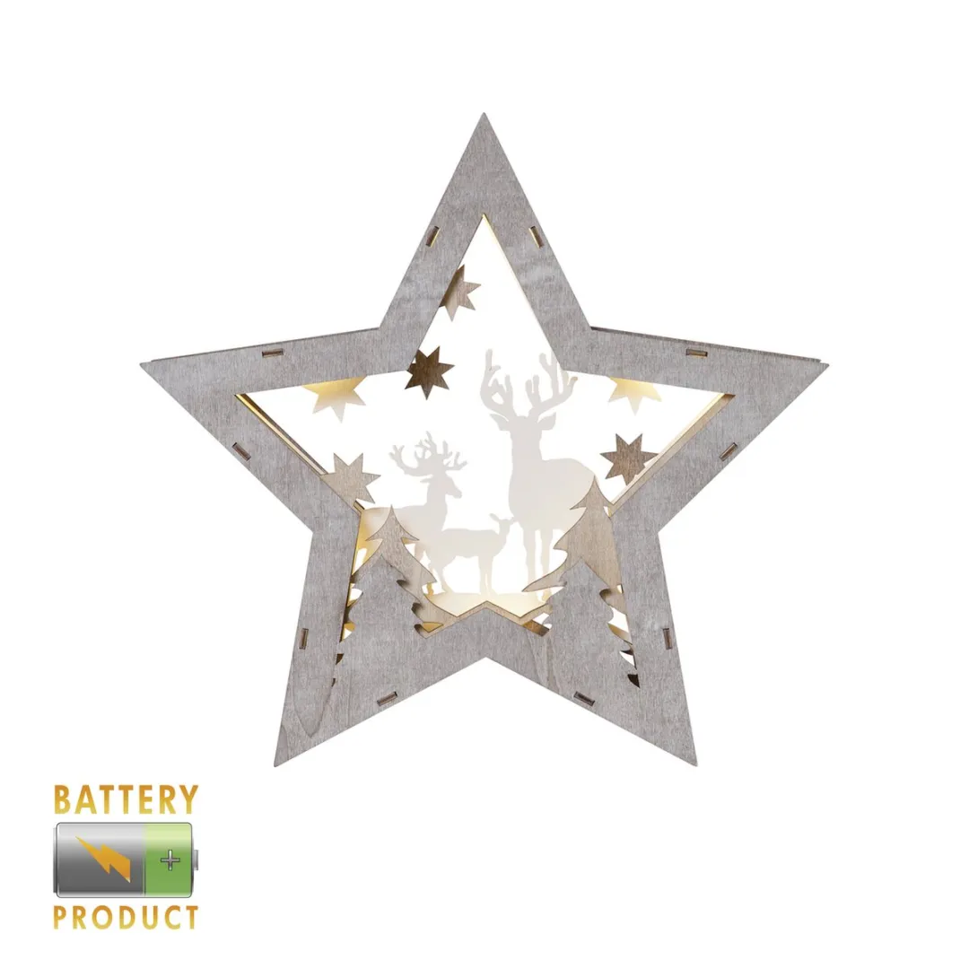 Star Trading LED Kerstster Tafeldecoratie - Warm wit - Zilver