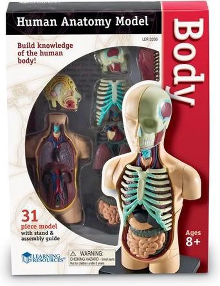 Learning Resources Human Body Torso Anatomie Set - 950LER3336